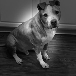 Meet your Posher, Kristal